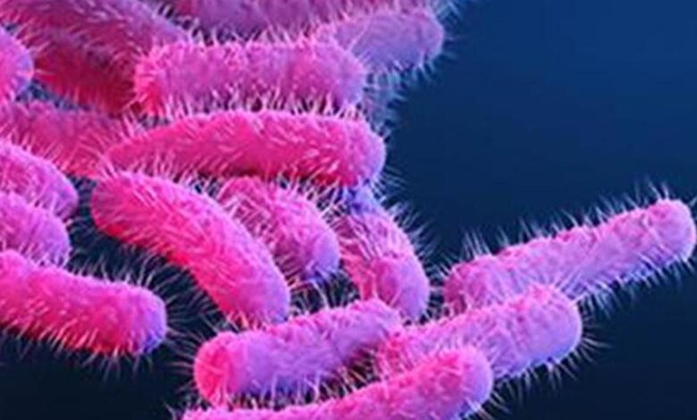 Shigellosis cases rise to 16 in Kerala’s Wayanad; Health department steps up surveillance