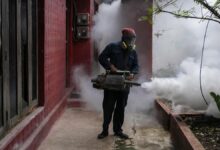 Why is Sri Lanka’s dengue outbreak straining its public health sector? | Explained