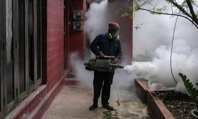Why is Sri Lanka’s dengue outbreak straining its public health sector? | Explained