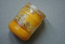 Carrot extract can make fake ghee dodge quality test: study