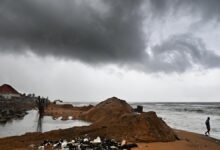 Bursts of rain may deal a double whammy to soil moisture, nitrogen