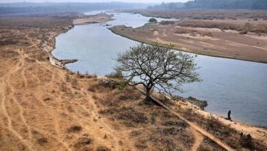 India’s economic growth depends on protecting its fragile environment